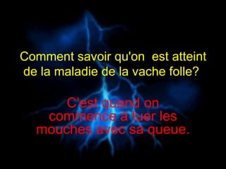 Comment savoir qu'on  est atteint de la maladie de la vache folle?   C'est quand on commence à tuer les mouches avec sa queue.   