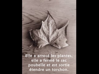 Elle a arrosé les plantes, elle a fermé le sac poubelle et est sortie étendre un torchon. 