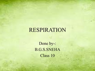 RESPIRATION
Done by-:
B.G.S.SNEHA
Class 10
 