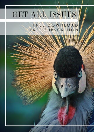 GET ALL ISSUES
F R E E D O W N L O A D
F R E E S U B S C R I T I O N
 