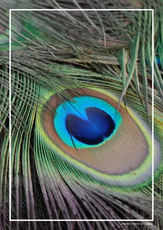 Jewellery Historian 165
 