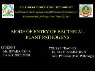 MODE OF ENTRY OF BACTERIAL
PLANT PATHOGENS
COURSE TEACHER
Dr. PARTHASARATHY S
Asst. Professor (Plant Pathology)
STUDENT
Mr. JEYARAJESH K
ID. NO. 2017021094.
COLLEGE OF AGRICULTURAL TECHNOLOGY
(Affiliated to Tamil Nadu Agricultural University, Coimbatore-3)
Kullapuram (Po),ViaVaigai Dam, Theni-625 562
 
