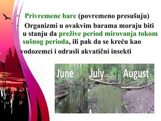 Privremene bare (povremeno presušuju)
Organizmi u ovakvim barama moraju biti
u stanju da prežive period mirovanja tokom
sušnog perioda, ili pak da se kreću kao
vodozemci i odrasli akvatični insekti
 