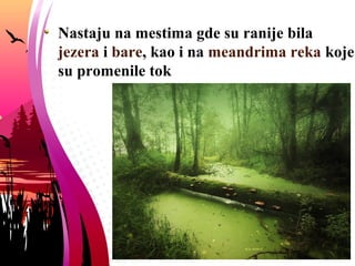 Nastaju na mestima gde su ranije bila
jezera i bare, kao i na meandrima reka koje
su promenile tok
 
