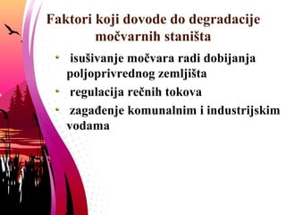 Faktori koji dovode do degradacije
močvarnih staništa
isušivanje močvara radi dobijanja
poljoprivrednog zemljišta
zagađenje komunalnim i industrijskim
otpadom; deponije
 