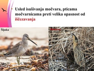 SUKCESIJE
 