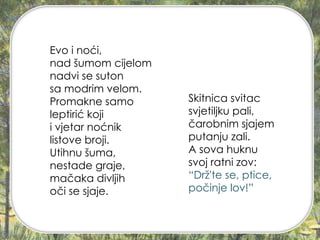 Evo i noći,
nad šumom cijelom
nadvi se suton
sa modrim velom.
Promakne samo
leptirić koji
i vjetar noćnik
listove broji.
Utihnu šuma,
nestade graje,
mačaka divljih
oči se sjaje.
Skitnica svitac
svjetiljku pali,
čarobnim sjajem
putanju zali.
A sova huknu
svoj ratni zov:
“Drž'te se, ptice,
počinje lov!”
 