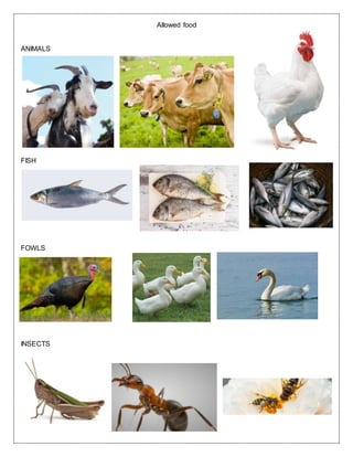 Allowed food
ANIMALS
FISH
FOWLS
INSECTS
 