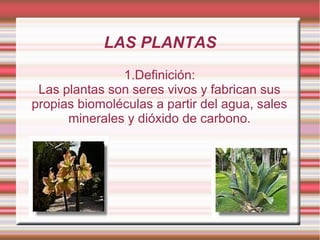 LAS PLANTAS
1.Definición:
Las plantas son seres vivos y fabrican sus
propias biomoléculas a partir del agua, sales
minerales y dióxido de carbono.
 