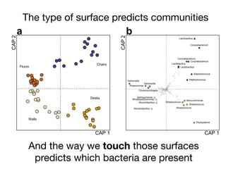 CAP 1
CAP2
Chairs
Desks
Walls
Floors
a
CAP 1
CAP2
Lactobacillus
Lactobacillus
Corynebacterium
Lactobacillus
Staphylococcus
Staphylococcus
Corynebacterium
Corynebacterium
Phytoplasma
Streptococcus
Streptococcus
Streptococcus
Brevundimonas
Sphingomonas
Alicyclobacillus
Alicyclobacillus
Rhodopseudomonas
Salmonella
Chroococcidiopsis
Salmonella
Roseomonas
b
The type of surface predicts communities
And the way we touch those surfaces
predicts which bacteria are present
 