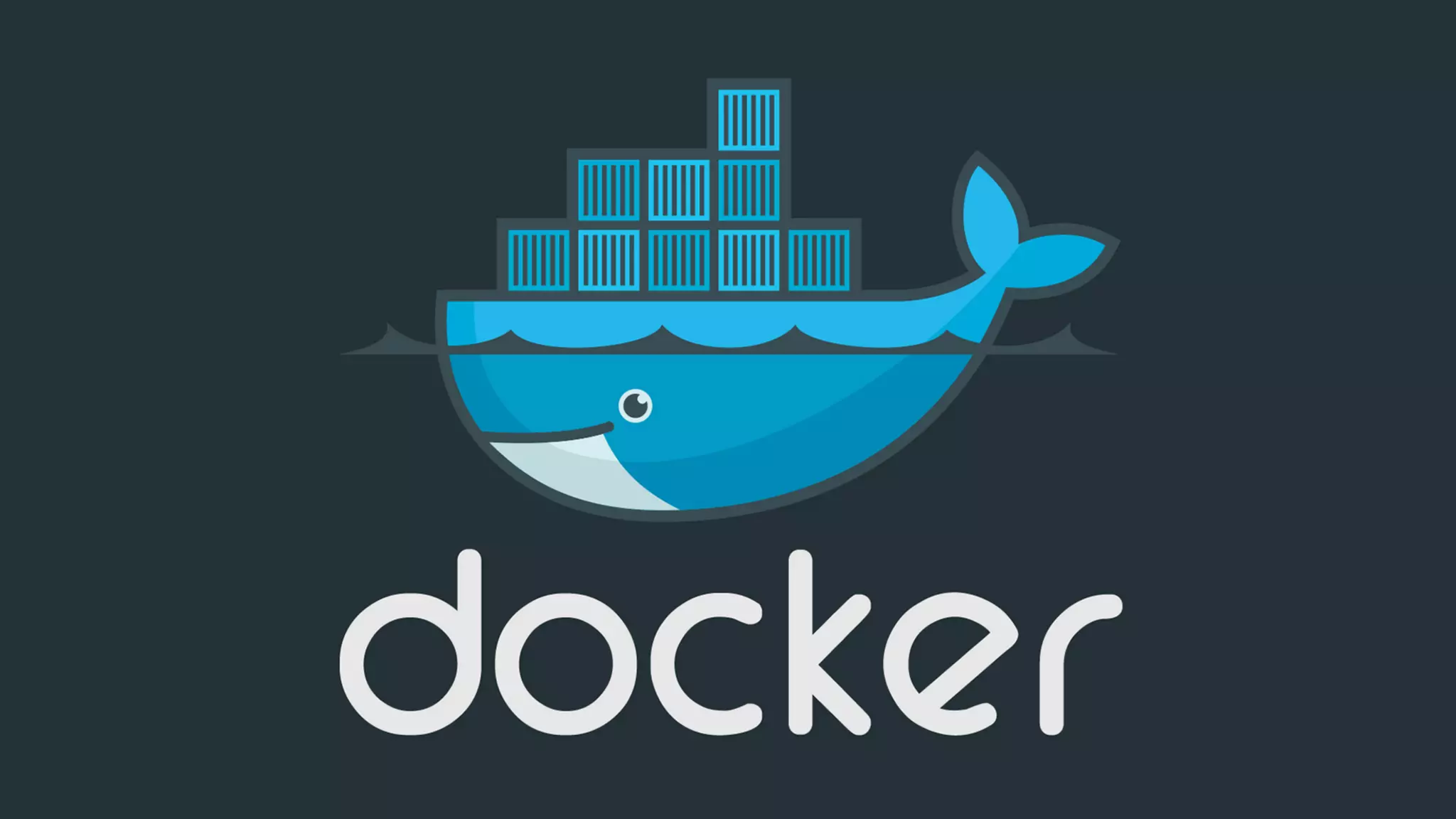 © http://www.amigosdosbichos.org/
 