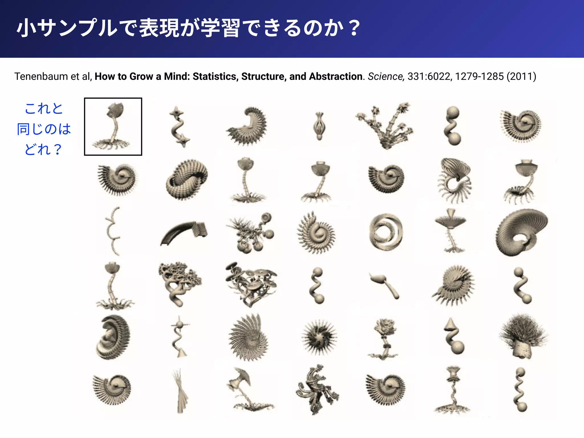 ⼩サンプルで表現が学習できるのか？
Tenenbaum et al, How to Grow a Mind: Statistics, Structure, and Abstraction. Science, 331:6022, 1279-1285 (2011)
これと
同じのは
どれ？
 