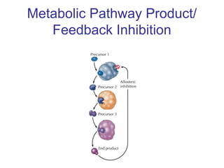 Metabolic Pathway Product/ 
Feedback Inhibition 
 