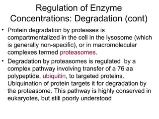 Regulation of Enzyme 
Concentrations: Degradation (cont) 
• Protein degradation by proteases is 
compartmentalized in the cell in the lysosome (which 
is generally non-specific), or in macromolecular 
complexes termed proteasomes. 
• Degradation by proteasomes is regulated by a 
complex pathway involving transfer of a 76 aa 
polypeptide, ubiquitin, to targeted proteins. 
Ubiquination of protein targets it for degradation by 
the proteasome. This pathway is highly conserved in 
eukaryotes, but still poorly understood 
 