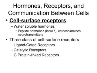 Hormones, Receptors, and 
Communication Between Cells 
• Cell-surface receptors 
– Water soluble hormones 
• Peptide hormones (insulin), catecholamines, 
neurotransmitters 
• Three class of cell-surface receptors 
– Ligand-Gated Receptors 
– Catalytic Receptors 
– G Protein-linked Receptors 
 