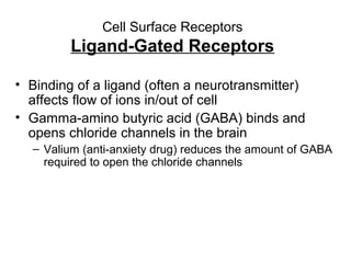 Cell Surface Receptors 
Ligand-Gated Receptors 
• Binding of a ligand (often a neurotransmitter) 
affects flow of ions in/out of cell 
• Gamma-amino butyric acid (GABA) binds and 
opens chloride channels in the brain 
– Valium (anti-anxiety drug) reduces the amount of GABA 
required to open the chloride channels 
 