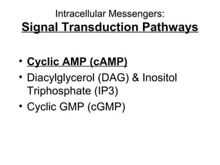 Intracellular Messengers: 
Signal Transduction Pathways 
• Cyclic AMP (cAMP) 
• Diacylglycerol (DAG) & Inositol 
Triphosphate (IP3) 
• Cyclic GMP (cGMP) 
 