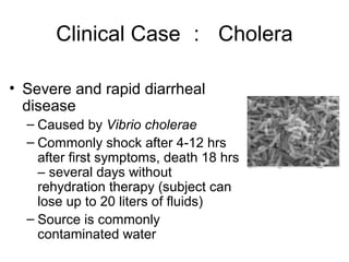 Clinical Case： Cholera 
• Severe and rapid diarrheal 
disease 
– Caused by Vibrio cholerae 
– Commonly shock after 4-12 hrs 
after first symptoms, death 18 hrs 
– several days without 
rehydration therapy (subject can 
lose up to 20 liters of fluids) 
– Source is commonly 
contaminated water 
 