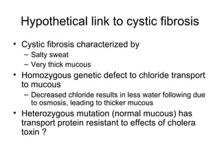 Hypothetical link to cystic fibrosis 
• Cystic fibrosis characterized by 
– Salty sweat 
– Very thick mucous 
• Homozygous genetic defect to chloride transport 
to mucous 
– Decreased chloride results in less water following due 
to osmosis, leading to thicker mucous 
• Heterozygous mutation (normal mucous) has 
transport protein resistant to effects of cholera 
toxin ? 
 