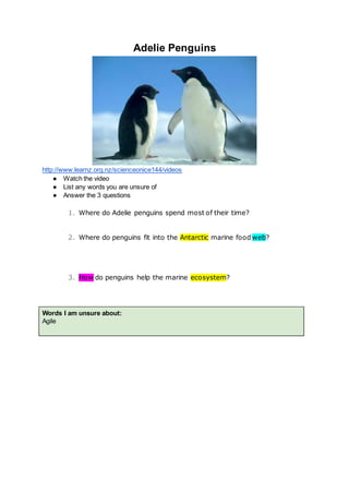 Adelie Penguins
http://www.learnz.org.nz/scienceonice144/videos
● Watch the video
● List any words you are unsure of
● Answer the 3 questions
1. Where do Adelie penguins spend most of their time?
2. Where do penguins fit into the Antarctic marine food web?
3. How do penguins help the marine ecosystem?
Words I am unsure about:
Agile
 