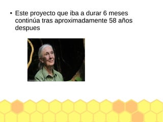● Este proyecto que iba a durar 6 meses
continúa tras aproximadamente 58 años
despues
 