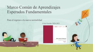 Marco Común de Aprendizajes
Esperados Fundamentales
Para el regreso a la nueva normalidad
Ciclo Escolar 2020-2021
 