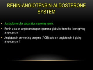 RENIN-ANGIOTENSIN-ALDOSTERONE
SYSTEM
• Juxtaglomerular apparatus secretes renin.
• Renin acts on angiotensinogen (gamma globulin from the liver) giving
angiotensin I
• Angiotensin converting enzyme (ACE) acts on angiotensin I giving
angiotensin II
 