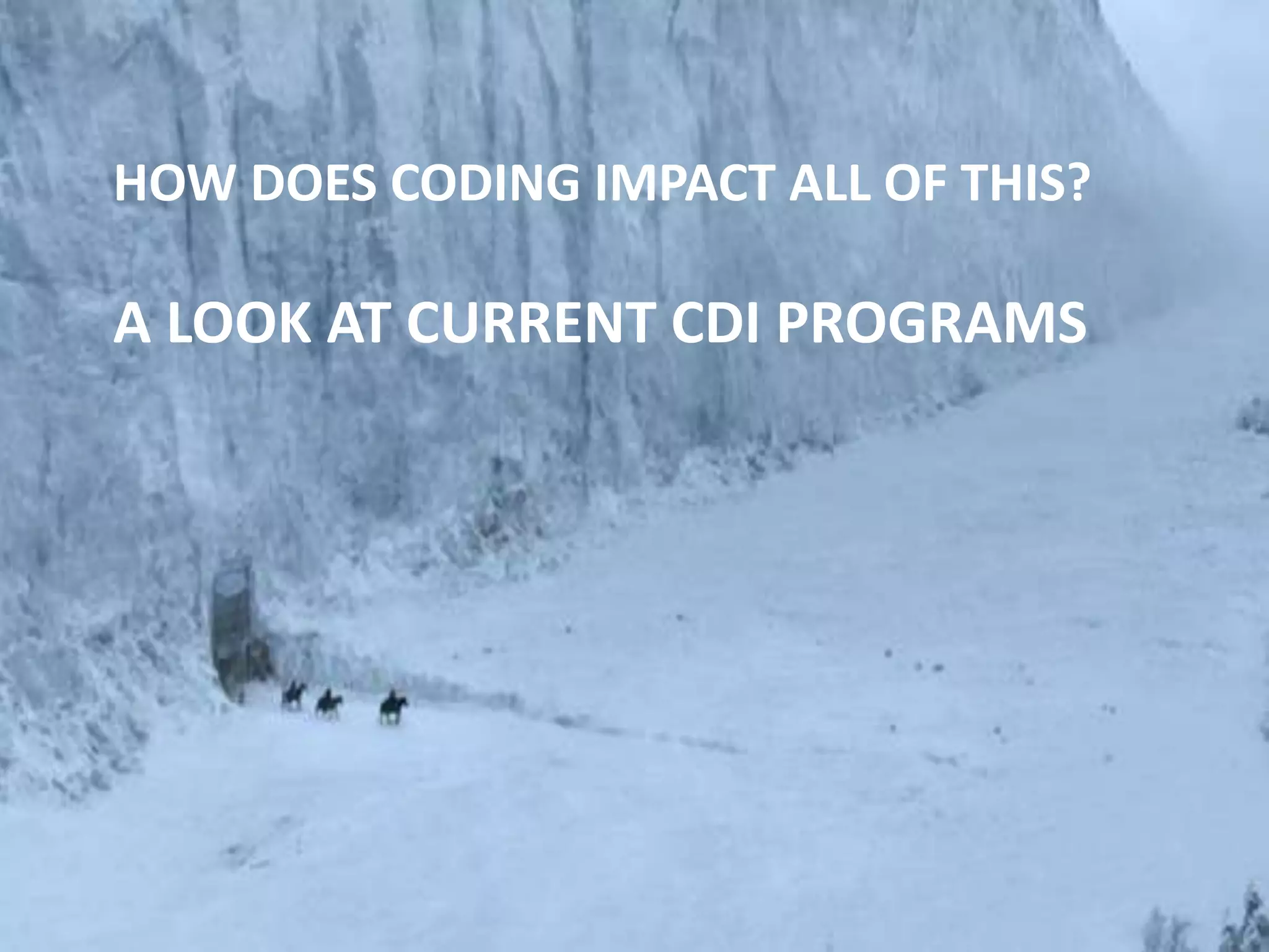 HOW DOES CODING IMPACT ALL OF THIS? 
A LOOK AT CURRENT CDI PROGRAMS 
 