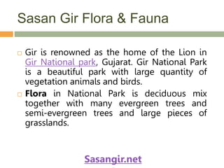 Sasan Gir Flora & Fauna
 Gir is renowned as the home of the Lion in
Gir National park, Gujarat. Gir National Park
is a beautiful park with large quantity of
vegetation animals and birds.
 Flora in National Park is deciduous mix
together with many evergreen trees and
semi-evergreen trees and large pieces of
grasslands.
Sasangir.net
 