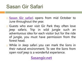 Sasan Gir Safari
 Sasan Gir safari opens from mid October to
June throughout the year.
 Guests who ever visit Gir Park they often love
jeep safaris. Trip in wild jungle such an
adventurous idea for each visitor but for the ride
of jungle, you must have permission from the
forest head.
 While in Jeep safari you can mark the lions in
their natural environment. To see the lions from
open roof jeep is a wonderful experience.
Sasangir.net
 