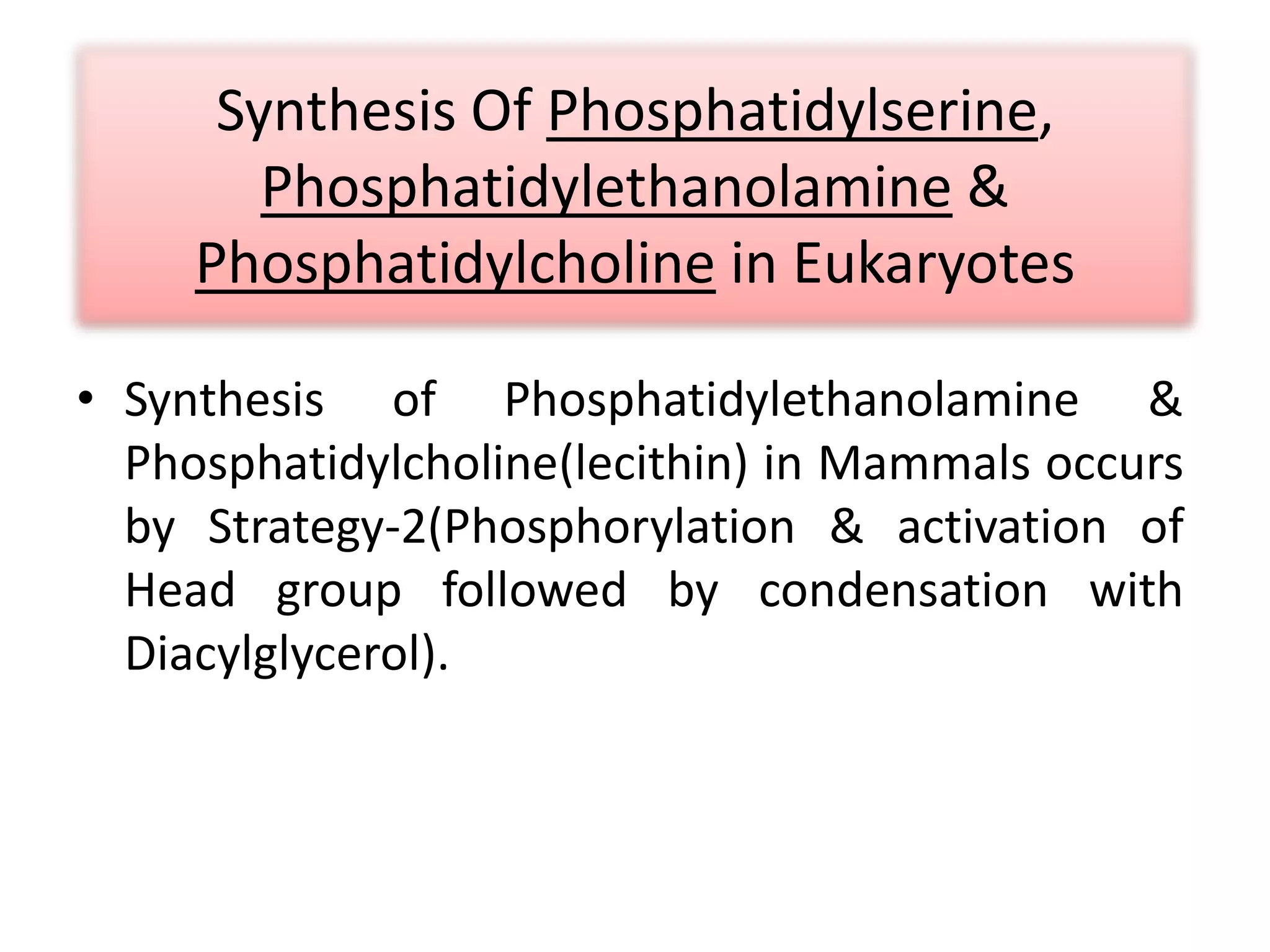 Synthesis Of Phosphatidylserine,
Phosphatidylethanolamine &
Phosphatidylcholine in Eukaryotes
• Synthesis of Phosphatidylethanolamine &
Phosphatidylcholine(lecithin) in Mammals occurs
by Strategy-2(Phosphorylation & activation of
Head group followed by condensation with
Diacylglycerol).
 
