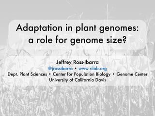 Adaptation in plant genomes:
a role for genome size?
Jeffrey Ross-Ibarra
@jrossibarra • www.rilab.org
Dept. Plant Sciences • Center for Population Biology • Genome Center
University of California Davis
photo by lady_lbrty
 