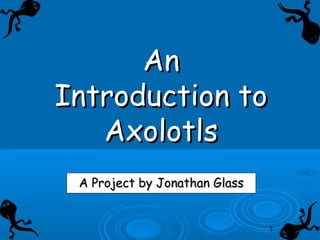 1
AnAn
Introduction toIntroduction to
AxolotlsAxolotls
A Project by Jonathan GlassA Project by Jonathan Glass
 