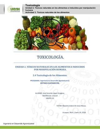 Toxicología
Unidad 2. Tóxicos naturales en los alimentos e inducidos por manipulación
humana
Actividad 3. Tóxicos naturales de los alimentos
Ingeniería en Desarrollo Agroindustrial
TOXICOLOGIA.
UNIDAD 2. TÓXICOS NATURALES EN LOS ALIMENTOS E INDUCIDOS
POR MANIPULACIÓN HUMANA.
2.4 Toxicología de los Alimentos.
PROGRAMA: Ingeniería en Desarrollo Agroindustrial.
SÉPTIMO CUATRIMESTRE.
ALUMNO: José Gerardo López Zaragoza.
MATRICULA: 153114
GRUPO: 01
TUTOR: Maestro Isidoro De Jesús Macip.
Uruapan, Mich., Enero 20, 2018.
 