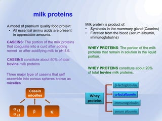 Alpha Lactalbumin - Development path for a valuable dairy protein ...