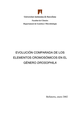Facultat de Ciències
Departament de Genètica i Microbiologia
EVOLUCIÓN COMPARADA DE LOS
ELEMENTOS CROMOSÓMICOS EN EL
GÉNERO DROSOPHILA
Bellaterra, enero 2002
 
