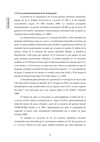 21
1.2.5 La secuencia del genoma de D. melanogaster
El genoma de D. melanogaster fue el tercer genoma eucariótico secuenciado,
después del de la levadura Saccharomyces cerevisiae (12 Mb) y el del nematodo
Caenorhabditis elegans (97 Mb) (Celniker 2000). La secuencia corresponde
mayoritariamente a la porción eucromática del genoma (120 Mb) ya que un tercio del
genoma de Drosophila corresponde a heterocromatina centromérica que no puede ser
clonada de forma estable (Adams et al. 2000).
La identificación de los genes en la secuencia del DNA se hizo utilizando dos
programas informáticos, Genscan y Genie, y la información disponible en las bases de
datos. Se utilizó también la información acerca de DNA complementarios (cDNA) y los
resultados fueron posteriormente revisados por un grupo de expertos. El análisis de la
primera versión de la secuencia del genoma disponible (Release 1) permitió la
identificación 13.601 genes que codifican 14.113 transcritos ya que algunos de estos
genes presentan procesamiento alternativo. El tamaño promedio de los transcritos
predichos es de 3.058 pares de bases (pb). El número promedio de exones por gen es 4 y
el de intrones 3. Se ha de tener en cuenta que estos valores son subestimas ya que los
programas utilizados no predicen de forma correcta las regiones 5´ y 3´ no traducidas de
los genes. El tamaño de los intrones es variable, oscila entre 40 pb y 70 kb aunque la
mayoría de intrones tienen entre 59 y 63 pb (Adams et al. 2000).
La densidad de genes promedio en el genoma de D. melanogaster es de uno cada
9 kb. Hay mucha variación en densidad: de 0 a 30 genes en 50 kb. Las regiones de alta
densidad génica están correlacionadas con las regiones ricas en GC. En estas regiones
hay hasta 7 veces más genes que en las regiones pobres en GC (Jabbari y Bernardi
2000).
El número de genes en Drosophila es aproximadamente el doble del de S.
cerevisiae (6.241), inferior al estimado para C. elegans (18.424) y aproximadamente la
mitad del número de genes estimado a partir de la secuencia del genoma humano
(30.000-40.000) (Lander et al. 2001). Aparentemente, por tanto, la complejidad del
organismo no parece estar estrechamente correlacionada con el número de genes
(Celniker 2000).
Al comparar las secuencias de los tres primeros organismos eucariotas
secuenciados se ha observado que D. melanogaster comparte un 16% de sus genes con
S. cerevisiae. Muchos de estos genes codifican proteínas que están implicadas en
 