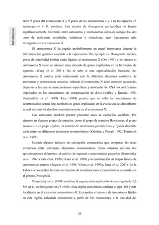 29
entre 9 genes del cromosoma X y 9 genes de los cromosomas 2 y 3 en las especies D.
melanogaster y D. simulans. Los niveles de divergencia nucleotídica no fueron
significativamente diferentes entre autosomas y cromosomas sexuales aunque los dos
tipos de posiciones estudiadas, intrónicas y silenciosas, eran ligeramente más
divergentes en el cromosoma X.
El cromosoma X ha jugado probablemente un papel importante durante la
diferenciación genética asociada a la especiación. Por ejemplo en Drosophila muchos
genes de esterilidad híbrida están ligados al cromosoma X (Orr 1997) y en ratones el
cromosoma X tiene un número muy elevado de genes implicados en la formación de
esperma (Wang et al. 2001). No se sabe si esta especialización funcional del
cromosoma X podría estar relacionada con la diferente dinámica evolutiva de
autosomas y cromosomas sexuales. Además el cromosoma X debe contener secuencias
dispersas a las que se unan proteínas específicas y moléculas de RNA no codificantes
implicados en los mecanismos de compensación de dosis (Kelley y Kuroda 1995;
Stuckenholz et al. 1999). Rice (1984) predice que no sólo los mecanismos de
determinación sexual sino también los genes implicados en la evolución del dimorfismo
sexual estarían localizados mayoritariamente en el cromosoma X.
Los autosomas también pueden presentar tasas de evolución variables. Por
ejemplo en algunos grupos de especies, como el grupo de especies Hawaianas, el grupo
melanica o el grupo repleta, el número de inversiones polimórficas y fíjadas descritas
varía entre los diferentes elementos cromosómicos (Krimbas y Powell 1992; Tonzetich
et al. 1988).
Existen algunos trabajos de cartografía comparativa que comparan las tasas
evolutivas entre diferentes elementos cromosómicos. Estos estudios utilizan dos
aproximaciones diferentes: el análisis de regiones cromosómicas pequeñas (Nurminsky
et al. 1996; Vieira et al. 1997c; Ranz et al. 1999) y la construcción de mapas físicos de
cromosomas enteros (Segarra et al. 1995; Vieira et al. 1997a; Ranz et al. 2001). En la
Tabla 4 se recopilan las tasas de fijación de reordenaciones cromosómicas estimadas en
el género Drosophila.
Nurminsky et al. (1996) analizan la organización molecular de una región de 1,6
Mb de D. melanogaster en D. virilis. Esta región autosómica contiene el gen Adh y está
localizada en el elemento cromosómico B. Extrapolan el número de inversiones fijadas
en esta región, calculada únicamente a partir de tres marcadores, a la totalidad del
 