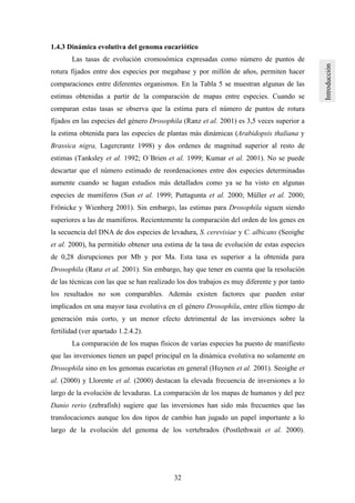 32
1.4.3 Dinámica evolutiva del genoma eucariótico
Las tasas de evolución cromosómica expresadas como número de puntos de
rotura fijados entre dos especies por megabase y por millón de años, permiten hacer
comparaciones entre diferentes organismos. En la Tabla 5 se muestran algunas de las
estimas obtenidas a partir de la comparación de mapas entre especies. Cuando se
comparan estas tasas se observa que la estima para el número de puntos de rotura
fijados en las especies del género Drosophila (Ranz et al. 2001) es 3,5 veces superior a
la estima obtenida para las especies de plantas más dinámicas (Arabidopsis thaliana y
Brassica nigra, Lagercrantz 1998) y dos ordenes de magnitud superior al resto de
estimas (Tanksley et al. 1992; O´Brien et al. 1999; Kumar et al. 2001). No se puede
descartar que el número estimado de reordenaciones entre dos especies determinadas
aumente cuando se hagan estudios más detallados como ya se ha visto en algunas
especies de mamíferos (Sun et al. 1999; Puttagunta et al. 2000; Müller et al. 2000;
Frönicke y Wienberg 2001). Sin embargo, las estimas para Drosophila siguen siendo
superiores a las de mamíferos. Recientemente la comparación del orden de los genes en
la secuencia del DNA de dos especies de levadura, S. cerevisiae y C. albicans (Seoighe
et al. 2000), ha permitido obtener una estima de la tasa de evolución de estas especies
de 0,28 disrupciones por Mb y por Ma. Esta tasa es superior a la obtenida para
Drosophila (Ranz et al. 2001). Sin embargo, hay que tener en cuenta que la resolución
de las técnicas con las que se han realizado los dos trabajos es muy diferente y por tanto
los resultados no son comparables. Además existen factores que pueden estar
implicados en una mayor tasa evolutiva en el género Drosophila, entre ellos tiempo de
generación más corto, y un menor efecto detrimental de las inversiones sobre la
fertilidad (ver apartado 1.2.4.2).
La comparación de los mapas físicos de varias especies ha puesto de manifiesto
que las inversiones tienen un papel principal en la dinámica evolutiva no solamente en
Drosophila sino en los genomas eucariotas en general (Huynen et al. 2001). Seoighe et
al. (2000) y Llorente et al. (2000) destacan la elevada frecuencia de inversiones a lo
largo de la evolución de levaduras. La comparación de los mapas de humanos y del pez
Danio rerio (zebrafish) sugiere que las inversiones han sido más frecuentes que las
translocaciones aunque los dos tipos de cambio han jugado un papel importante a lo
largo de la evolución del genoma de los vertebrados (Postlethwait et al. 2000).
 