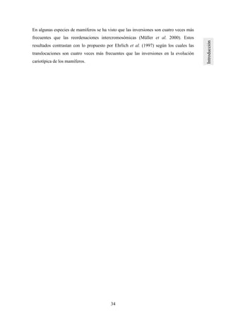 34
En algunas especies de mamíferos se ha visto que las inversiones son cuatro veces más
frecuentes que las reordenaciones intercromosómicas (Müller et al. 2000). Estos
resultados contrastan con lo propuesto por Ehrlich et al. (1997) según los cuales las
translocaciones son cuatro veces más frecuentes que las inversiones en la evolución
cariotípica de los mamíferos.
 