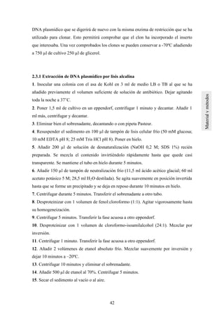 42
DNA plasmídico que se digerirá de nuevo con la misma enzima de restricción que se ha
utilizado para clonar. Esto permitirá comprobar que el clon ha incorporado el inserto
que interesaba. Una vez comprobados los clones se pueden conservar a -70ºC añadiendo
a 750 µl de cultivo 250 µl de glicerol.
2.3.1 Extracción de DNA plasmídico por lisis alcalina
1. Inocular una colonia con el asa de Kohl en 3 ml de medio LB o TB al que se ha
añadido previamente el volumen suficiente de solución de antibiótico. Dejar agitando
toda la noche a 37°C.
2. Poner 1,5 ml de cultivo en un eppendorf, centrifugar 1 minuto y decantar. Añadir 1
ml más, centrifugar y decantar.
3. Eliminar bien el sobrenadante, decantando o con pipeta Pasteur.
4. Resuspender el sedimento en 100 µl de tampón de lisis celular frío (50 mM glucosa;
10 mM EDTA pH 8; 25 mM Tris HCl pH 8). Poner en hielo.
5. Añadir 200 µl de solución de desnaturalización (NaOH 0,2 M; SDS 1%) recién
preparada. Se mezcla el contenido invirtiéndolo rápidamente hasta que quede casi
transparente. Se mantiene el tubo en hielo durante 5 minutos.
6. Añadir 150 µl de tampón de neutralización frío (11,5 ml ácido acético glacial; 60 ml
acetato potásico 5 M; 28,5 ml H2O destilada). Se agita suavemente en posición invertida
hasta que se forme un precipitado y se deja en reposo durante 10 minutos en hielo.
7. Centrifugar durante 5 minutos. Transferir el sobrenadante a otro tubo.
8. Desproteinizar con 1 volumen de fenol:cloroformo (1:1). Agitar vigorosamente hasta
su homogeneización.
9. Centrifugar 5 minutos. Transferir la fase acuosa a otro eppendorf.
10. Desproteinizar con 1 volumen de cloroformo-isoamilalcohol (24:1). Mezclar por
inversión.
11. Centrifugar 1 minuto. Transferir la fase acuosa a otro eppendorf.
12. Añadir 2 volúmenes de etanol absoluto frío. Mezclar suavemente por inversión y
dejar 10 minutos a –20ºC.
13. Centrifugar 10 minutos y eliminar el sobrenadante.
14. Añadir 500 µl de etanol al 70%. Centrifugar 5 minutos.
15. Secar el sedimento al vacío o al aire.
 