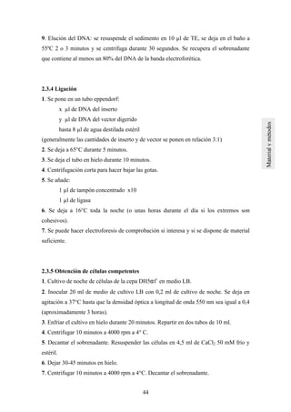44
9. Elución del DNA: se resuspende el sedimento en 10 µl de TE, se deja en el baño a
55ºC 2 o 3 minutos y se centrifuga durante 30 segundos. Se recupera el sobrenadante
que contiene al menos un 80% del DNA de la banda electroforética.
2.3.4 Ligación
1. Se pone en un tubo eppendorf:
x µl de DNA del inserto
y µl de DNA del vector digerido
hasta 8 µl de agua destilada estéril
(generalmente las cantidades de inserto y de vector se ponen en relación 3:1)
2. Se deja a 65°C durante 5 minutos.
3. Se deja el tubo en hielo durante 10 minutos.
4. Centrifugación corta para hacer bajar las gotas.
5. Se añade:
1 µl de tampón concentrado x10
1 µl de ligasa
6. Se deja a 16°C toda la noche (o unas horas durante el día si los extremos son
cohesivos).
7. Se puede hacer electroforesis de comprobación si interesa y si se dispone de material
suficiente.
2.3.5 Obtención de células competentes
1. Cultivo de noche de células de la cepa DH5αf´ en medio LB.
2. Inocular 20 ml de medio de cultivo LB con 0,2 ml de cultivo de noche. Se deja en
agitación a 37°C hasta que la densidad óptica a longitud de onda 550 nm sea igual a 0,4
(aproximadamente 3 horas).
3. Enfriar el cultivo en hielo durante 20 minutos. Repartir en dos tubos de 10 ml.
4. Centrifugar 10 minutos a 4000 rpm a 4° C.
5. Decantar el sobrenadante. Resuspender las células en 4,5 ml de CaCl2 50 mM frío y
estéril.
6. Dejar 30-45 minutos en hielo.
7. Centrifugar 10 minutos a 4000 rpm a 4°C. Decantar el sobrenadante.
 