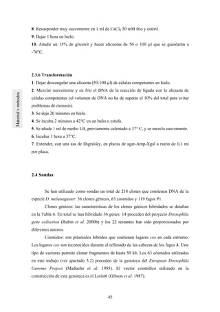 45
8. Resuspender muy suavemente en 1 ml de CaCl2 50 mM frío y estéril.
9. Dejar 1 hora en hielo.
10. Añadir un 15% de glicerol y hacer alícuotas de 50 o 100 µl que se guardarán a
-70°C.
2.3.6 Transformación
1. Dejar descongelar una alícuota (50-100 µl) de células competentes en hielo.
2. Mezclar suavemente y en frío el DNA de la reacción de ligado con la alícuota de
células competentes (el volumen de DNA no ha de superar el 10% del total para evitar
problemas de ósmosis).
3. Se deja 20 minutos en hielo.
4. Se incuba 2 minutos a 42°C en un baño o estufa.
5. Se añade 1 ml de medio LB, previamente calentado a 37° C, y se mezcla suavemente.
6. Incubar 1 hora a 37°C.
7. Extender, con una asa de Digralsky, en placas de agar-Amp-Xgal a razón de 0,1 ml
por placa.
2.4 Sondas
Se han utilizado como sondas un total de 218 clones que contienen DNA de la
especie D. melanogaster: 36 clones génicos, 63 cósmidos y 119 fagos P1.
Clones génicos: las características de los clones génicos hibridados se detallan
en la Tabla 6. En total se han hibridado 36 genes: 14 proceden del proyecto Drosophila
gene collection (Rubin et al. 2000b) y los 22 restantes han sido proporcionados por
diferentes autores.
Cósmidos: son plásmidos híbridos que contienen lugares cos en cada extremo.
Los lugares cos son reconocidos durante el rellenado de las cabezas de los fagos λ. Este
tipo de vectores permite clonar fragmentos de hasta 50 kb. Los 63 cósmidos utilizados
en este trabajo (ver apartado 3.2) proceden de la genoteca del European Drosophila
Genome Project (Madueño et al. 1995). El vector cosmídico utilizado en la
construcción de esta genoteca es el Lorist6 (Gibson et al. 1987).
 