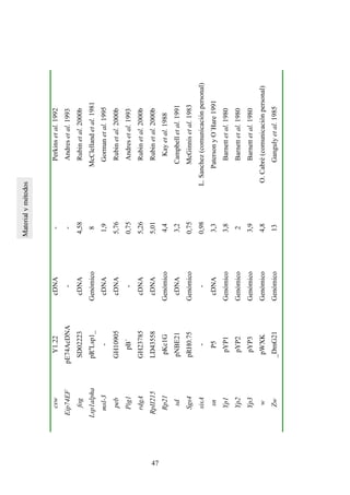 cswY1.22cDNA-Perkinsetal.1992
Eip74EFpE74AcDNA--Andresetal.1993
fogSD02223cDNA4,58Rubinetal.2000b
Lsp1alphapRa
Lsp1_Genómico8McClellandetal.1981
msl-3-cDNA1,9Gormanetal.1995
pebGH10905cDNA5,76Rubinetal.2000b
Pig1pB´-0,75Andresetal.1993
rdgAGH23785cDNA5,26Rubinetal.2000b
RpII215LD43558cDNA5,01Rubinetal.2000b
Rp21pKc1GGenómico4,4Kayetal.1988
sdpNBE21cDNA3,2Campbelletal.1991
Sgs4pRH0.75Genómico0,75McGinnisetal.1983
sisA--0,98L.Sanchez(comunicaciónpersonal)
snP5cDNA3,3PatersonyO´Hare1991
Yp1pYP1Genómico3,8Barnettetal.1980
Yp2pYP2Genómico2Barnettetal.1980
Yp3pYP3Genómico3,9Barnettetal.1980
wpWXKGenómico4,8O.Cabré(comunicaciónpersonal)
Zw_DmG21Genómico13Gangulyetal.1985
47
 