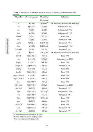 59
Tabla 7. Marcadores localizados por otros autores en las especies D. repleta y/o D.
buzzatii.
Marcador D. melanogaster D. repleta/
D. buzzatii
Referencia
sc X(1B3) X(B3ab)b
H. Naveira (comunicación personal)
br X(2B3-5) X(A1)r
Kokoza et al. 1992
dor X(2B6) X(A1)r
Kokoza et al. 1992
hfw X(2B6) X(A1)r
Kokoza et al. 1992
156H1#
X(3A) X(F1g) Ranz 1998
crb* X(3B) X(B3f) Ranz et al. 1999
Act5C X(5C2-5) X(D2h-3a) Ranz et al. 1997
Fum X(5D5) X(D3b-e)b
Naveira et al. 1986
Ubi-p5E X(5E) X(C3a) Ranz et al. 1997
Sxl X(6F5) X(C1g-h)b
H. Naveira (comunicación personal)
13F10#
3L(61B1-3) 4(B1i) Ranz 1998
kls 3L(61C4) 4(A1g)b
Laayouni et al. 2000
Hsp83 3L(63C1) 4(E2b) Ranz 1998
Ubi-p63E 3L(63F2-4) 4(B1d) Ranz et al. 1997
ImpL2 3L(64B2) 4(A3a) Ranz 1998
ImpE1 3L(66C1-3) 4(B3a) Ranz 1998
Hsp22-Hsp26 3L(67B1) 4(D1a) Ranz 1998
Hsp23-Hsp27 3L(67B1) 4(D1a) Ranz 1998
Sod 3L(68A8-9) 4(F4c) Ranz 1998
CG10632 3L(69C4-8) 4(C3g)b
Laayouni et al. 2000
Hsc70-1 3L(70C) 4(F4a) Ranz et al. 1997
Pgm 3L(72D1-5) 4(A1a-g)b
Naveira et al. 1986
tra 3L(73A8-9) 4(A3c) Ranz et al. 1997
Rh4 3L(73D3-5) 4(F2g-h) Ranz 1998
sina 3L(73D) 4(B4c) Ranz 1998
DS00004#
3L(76B3-4) 4(E5e) Ranz 1998
kni 3L(77E1-2) 4(E3a) Ranz et al. 1997
Act79B 3L(79B) 4(F1c) Ranz et al. 1997
b
Clones hibridados solo en D. buzzatii
r
Clones hibridados solo en D. repleta;
#
Clon incorrectamente etiquetado
 