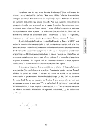 60
Los clones para los que no se disponía de ninguna STS se posicionaron de
acuerdo con su localización citológica (Hartl et al. 1994). Cada par de marcadores
contiguos en el mapa de la especie D. melanogaster (la especie de referencia) delimita
un segmento cromosómico de tamaño conocido. Para cada segmento cromosómico se
comprobó si estaba o no conservado en la especie D. repleta. Se consideraron como
segmentos conservados aquellos en los que el orden relativo de marcadores contiguos
era equivalente en ambas especies. Los marcadores que producían una única señal de
hibridación también se clasificaron como conservados. El resto de segmentos,
segmentos no conservados, se asumió que contenían al menos un punto de rotura.
Se utilizó el método de máxima verosimilitud descrito en Ranz et al. (1997) para
estimar el número de inversiones fijadas en cada elemento cromosómico analizado. Este
método considera que si en un determinado elemento cromosómico hay m marcadores
localizados en las dos especies comparadas en total hay m+1 segmentos, considerando
el centrómero y el telómero como marcadores. El método requiere que el tamaño de los
segmentos sea estimado en la especie de referencia siendo li la longitud relativa de cada
segmento i respecto a la longitud total del elemento cromosómico. Cada segmento
cromosómico se comprueba si está o no conservado en la otra especie.
Se asume que los puntos de rotura se distribuyen al azar a lo largo del elemento
cromosómico. Si n es el número de inversiones fijadas entre las dos especies, 2n es el
número de puntos de rotura. El número de puntos de rotura en un elemento
cromosómico se aproxima a una distribución de Poisson (si li ≤ 0,1 y 2n ≥ 30). Por tanto
la probabilidad de que un segmento de longitud li esté conservado, es decir que
contenga cero puntos de rotura, es e–2nli
y la probabilidad de que no esté conservado, es
decir que contenga al menos un punto de rotura, es de 1- e–2nli
. La probabilidad conjunta
de observar un número determinado de segmentos conservados, s, y no conservados
m+1–s es:
s m+1
L = ∏ (e–2nli
) ∏ (1- e–2nli
)
l s+1
 