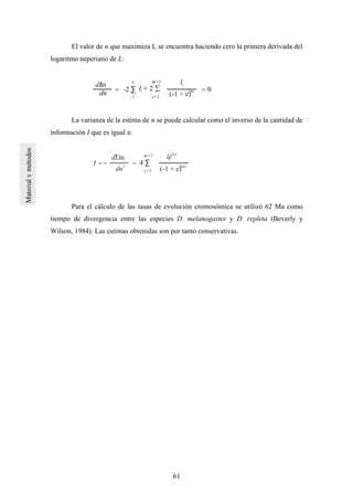 61
El valor de n que maximiza L se encuentra haciendo cero la primera derivada del
logaritmo neperiano de L:
dn =
(-1 + e)
2nli-2 ∑
s
s+1
m+1
l
li
= 0
dn =-2 ∑
s
s+1
m+1
l
li
= 0
dLln
dn =
s
s+1
m+1
l
li
= 0
La varianza de la estima de n se puede calcular como el inverso de la cantidad de
información I que es igual a:
dL
2
ln
dn2
(-1 + e)
2nli2
s+1
m+1 lei
22nli
= 4 ∑I -=
Para el cálculo de las tasas de evolución cromosómica se utilizó 62 Ma como
tiempo de divergencia entre las especies D. melanogaster y D. repleta (Beverly y
Wilson, 1984). Las estimas obtenidas son por tanto conservativas.
 