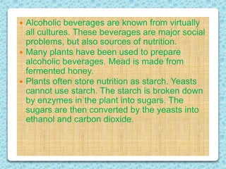  Alcoholic beverages are known from virtually
all cultures. These beverages are major social
problems, but also sources of nutrition.
 Many plants have been used to prepare
alcoholic beverages. Mead is made from
fermented honey.
 Plants often store nutrition as starch. Yeasts
cannot use starch. The starch is broken down
by enzymes in the plant into sugars. The
sugars are then converted by the yeasts into
ethanol and carbon dioxide.
 