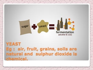 YEAST
Eg : air, fruit, grains, soils are
natural and sulphur dioxide is
chemical.
 