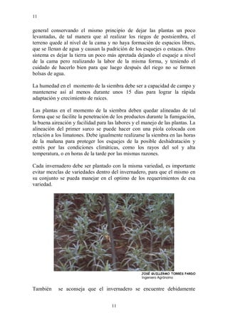 11


general conservando el mismo principio de dejar las plantas un poco
levantadas, de tal manera que al realizar los riegos de postsiembra, el
terreno quede al nivel de la cama y no haya formación de espacios libres,
que se llenan de agua y causan la pudrición de los esquejes o estacas. Otro
sistema es dejar la tierra un poco más apretada dejando el esqueje a nivel
de la cama pero realizando la labor de la misma forma, y teniendo el
cuidado de hacerlo bien para que luego después del riego no se formen
bolsas de agua.

La humedad en el momento de la siembra debe ser a capacidad de campo y
mantenerse así al menos durante unos 15 días para lograr la rápida
adaptación y crecimiento de raíces.

Las plantas en el momento de la siembra deben quedar alineadas de tal
forma que se facilite la penetración de los productos durante la fumigación,
la buena aireación y facilidad para las labores y el manejo de las plantas. La
alineación del primer surco se puede hacer con una piola colocada con
relación a los limatones. Debe igualmente realizarse la siembra en las horas
de la mañana para proteger los esquejes de la posible deshidratación y
estrés por las condiciones climáticas, como los rayos del sol y alta
temperatura, o en horas de la tarde por las mismas razones.

Cada invernadero debe ser plantado con la misma variedad, es importante
evitar mezclas de variedades dentro del invernadero, para que el mismo en
su conjunto se pueda manejar en el optimo de los requerimientos de esa
variedad.




                                                    JOSÉ GUILLERMO TORRES PARDO
                                                    Ingeniero Agrónomo


También     se aconseja que el invernadero se encuentre debidamente


                                     11
 